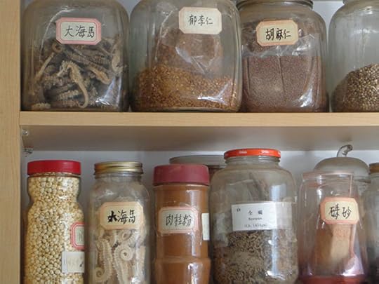 seed pods, leaves, dried seahorses...