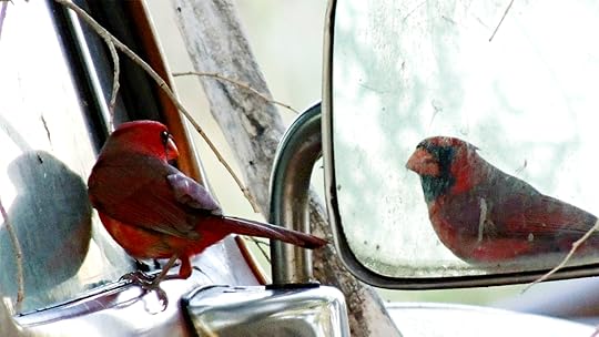 FEB15_11_iStock_000043035392