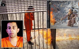 Isis-killed-jordanian-pilot