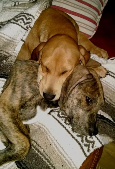 Big Babies