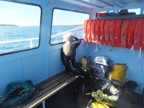 Minch 2014 1 compressed.jpg