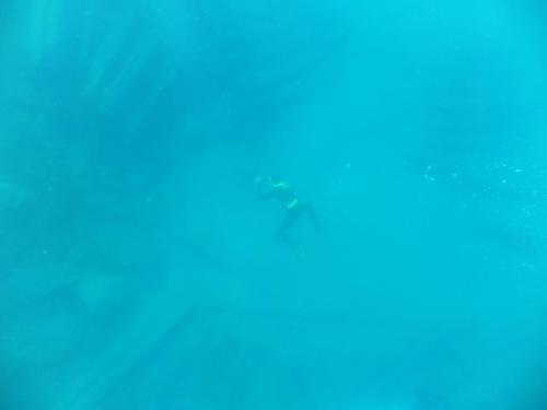 Minch 2014 8 compressed.jpg