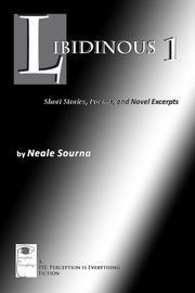 Libidinous 1: Short Stories, Poems, and Novel Excerpts