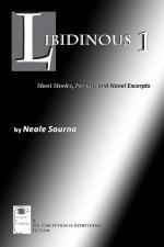 Libidinous 1 : Short Stories, Poems, and Novel Excerpts - Neale Sourna