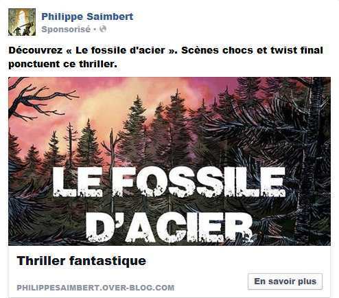 Auto-édition: résultats d'une campagne Facebook ads