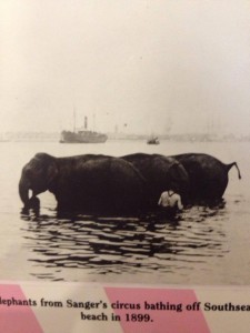 1970739_532591120187535_1903292161_n