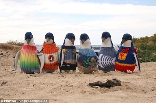 Alfie Date's penguin jumpers