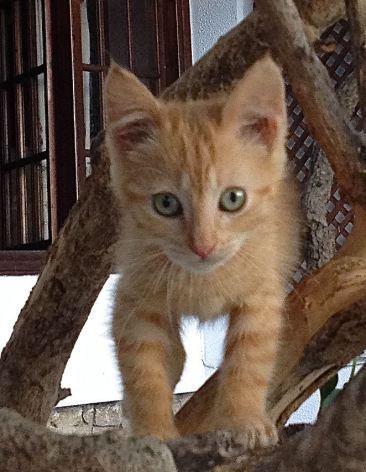 IMG_3327 - Version 2