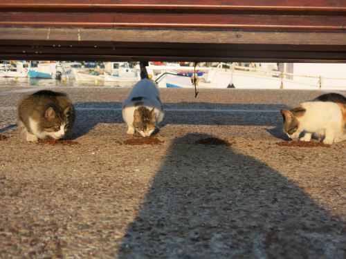 Ourania, Psari and Manaki