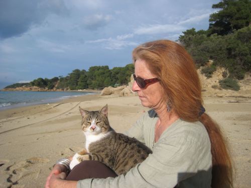 Ouranos the beach cat - winter 2010