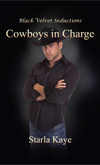Cowboys in Charge 2015.indd