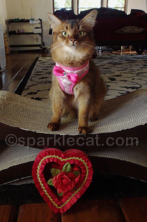 Go ahead - chew on the fabric rose - I did!