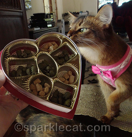 Get 'em now before Binga eats them all!