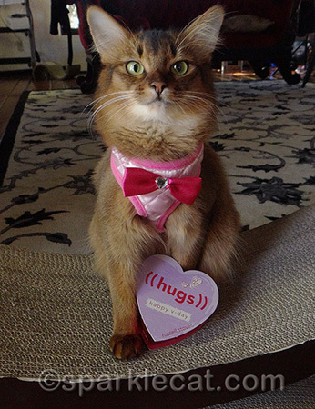Hugs are almost as good as treats!