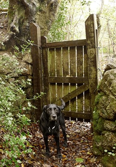Winter gate 3