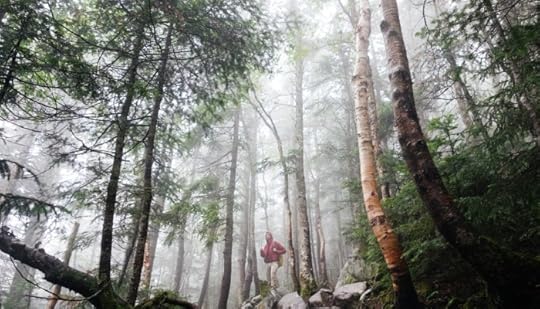 picture of a man walking in the woods