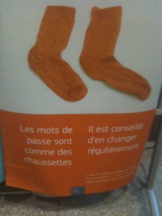 Photo-44
