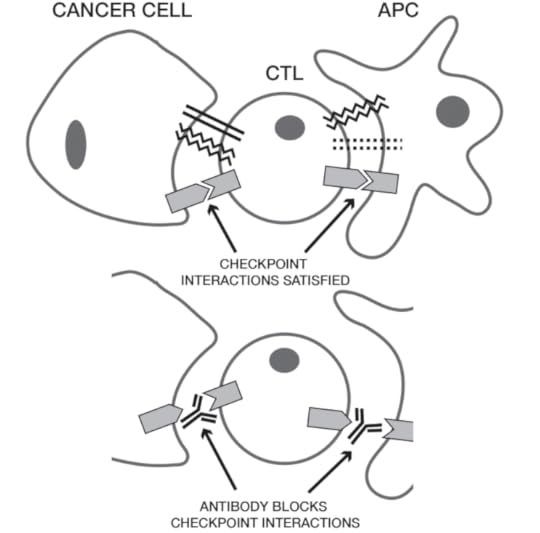 Figure 1 by Anthony R. Rees