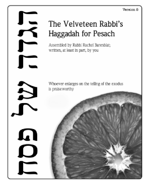 VRHaggadah8
