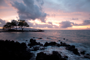 Louie Schwartzberg Moving Art