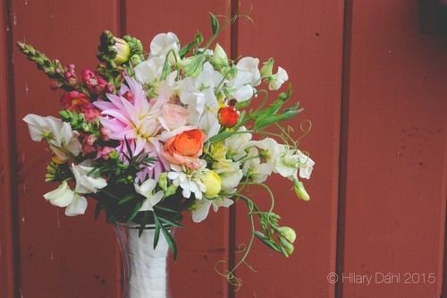 Bouquet including: sweet peas, marigold buds, marigold foliage, snapdragons & zinnias