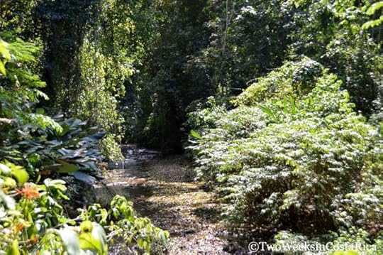 Carara National Park | Two Weeks in Costa Rica