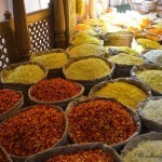 Radhanath Swami at Flower festival - mumbai 2015 006