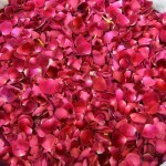 Radhanath Swami at Flower festival - mumbai 2015 007