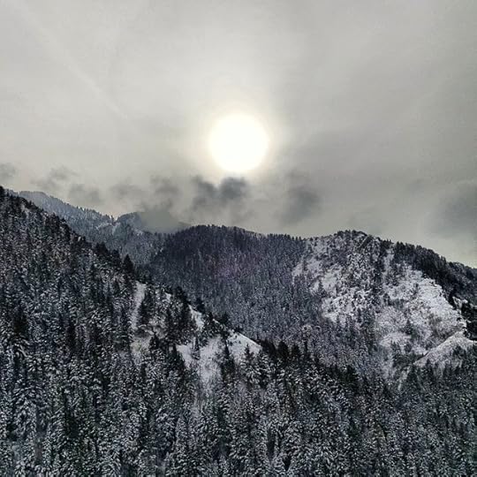 10881487_10204359512361389_611345112391995803_n