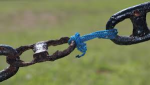 Weak link