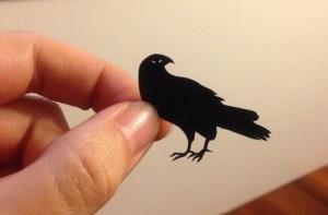 Sparrowhawk - by Kathleen Jenning, just coz. 