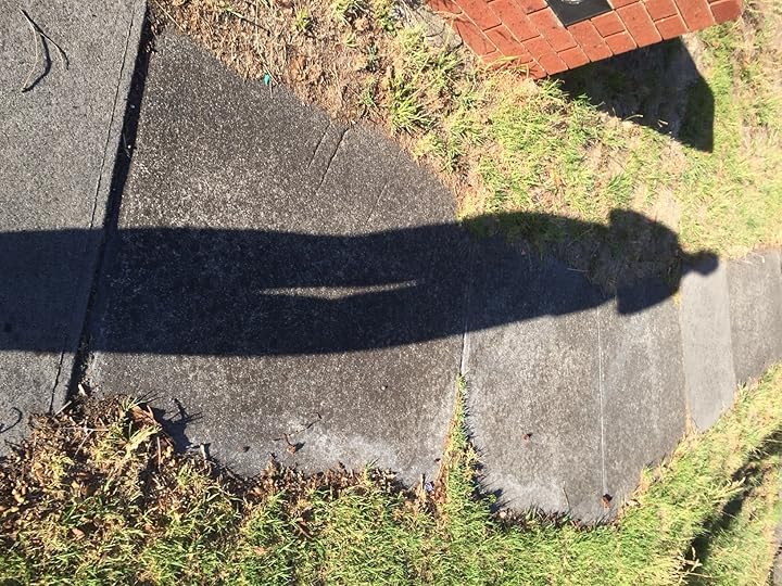 Shadowlegs