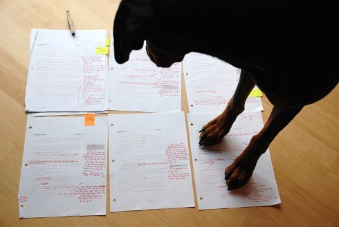 everyone's a critic