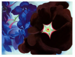 black-hollyhock-blue-larkspur-georgia-okeeffe