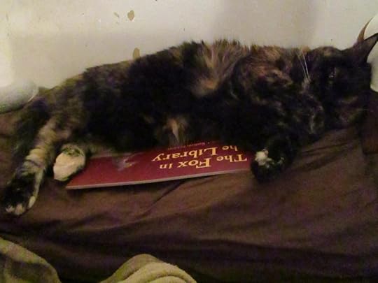  photo IMG_1149_zps296e77ff.jpg