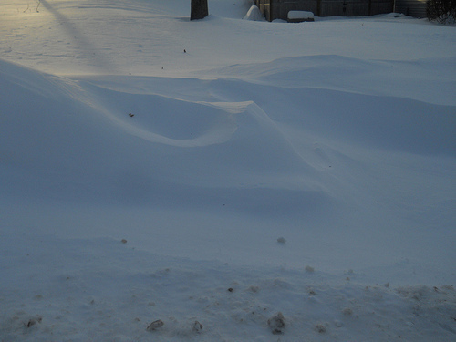 snow curves