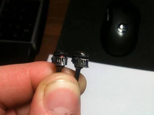 10430450_10155044652845486_3808367092116850415_n