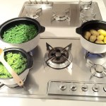 Sere tra verdure e risate