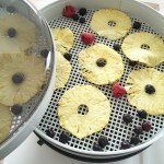 Ananas essiccato a camion