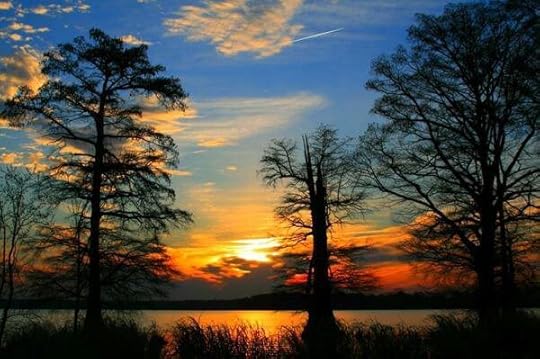 Reelfoot Lake. When the sun goes down, the spirits come out.