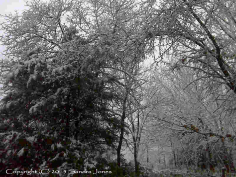 Freezing Rain Missouri