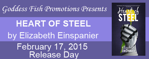 Release Day Heart of Steel Tour Banner copy