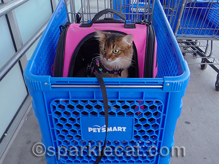 I'll find those dental treats!
