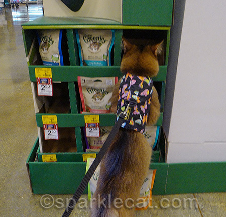 I wanted to grab all the bags!
