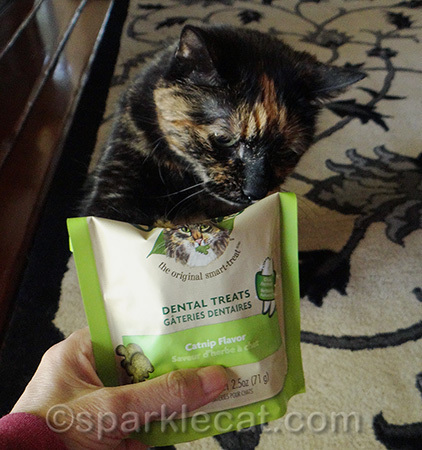 I'm surprised she did not destroy the bag