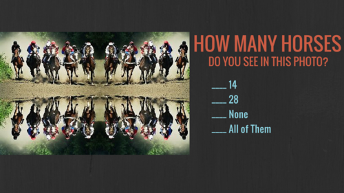 How Many Horses.png