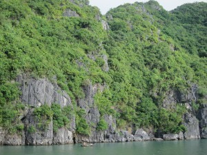 Halong Bay 1d