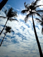 my second favorite view