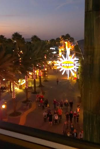 Cowfish View at Night