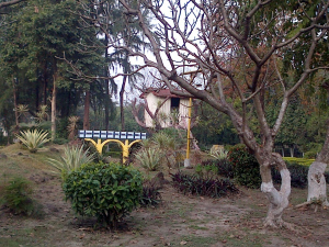 IMG-20150218-00591